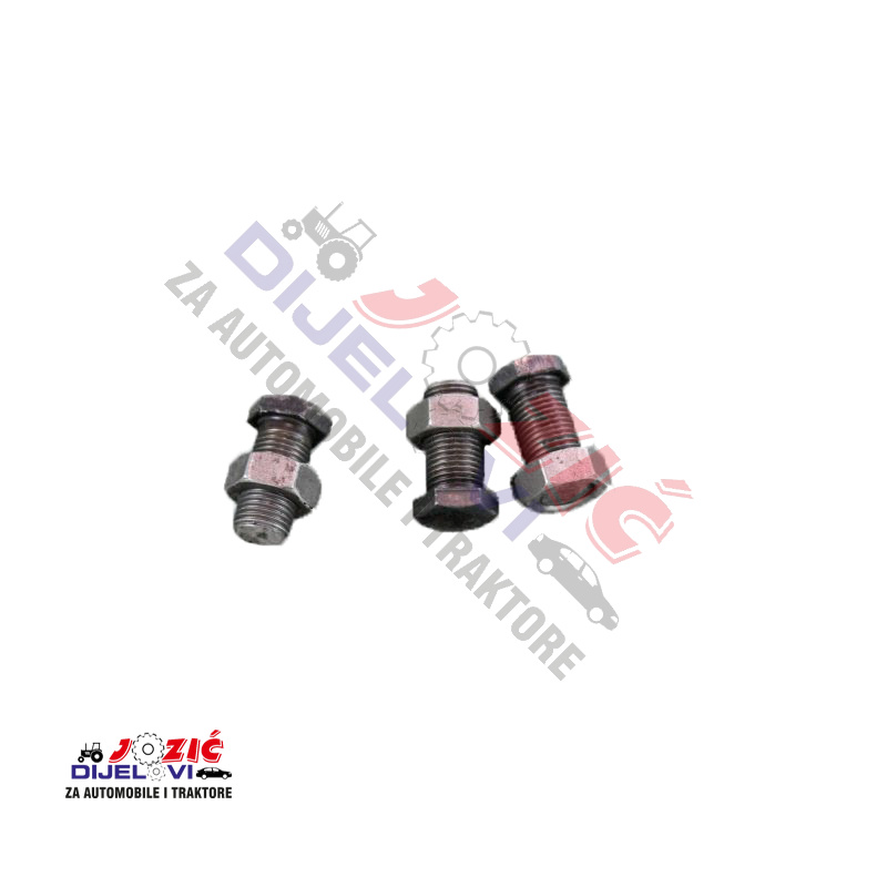 Daisy on the Ohoopee